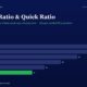 mbcover1897currentratioquickratiohow | Manish Goel Portfolio Management Service Infographic Bar Chart Showing Current Ratio and Quick Ratio by Fiscal Year fy20fy25 Fy25 Quick Ratio is Highlighted in Green at 11 Other Years Show Current Ratio Values fy20 28 Fy21 26 Fy22 22 Fy23 18 Fy24 14