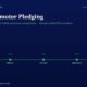 mbcover1919zeropromoterpledgingwhytit | Manish Goel Portfolio Management Service Hero Section with the Title zero Promoter Pledging and a Green Fy21fy25 Milestone Timeline from Compliance to All Boxes