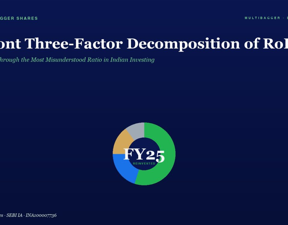 Site hero with a dark blue background, large white title 'DuPont Three-Factor Decomposition of RoE' and green subtitle, centered multicolor donut chart labeled FY25 Reinvented.