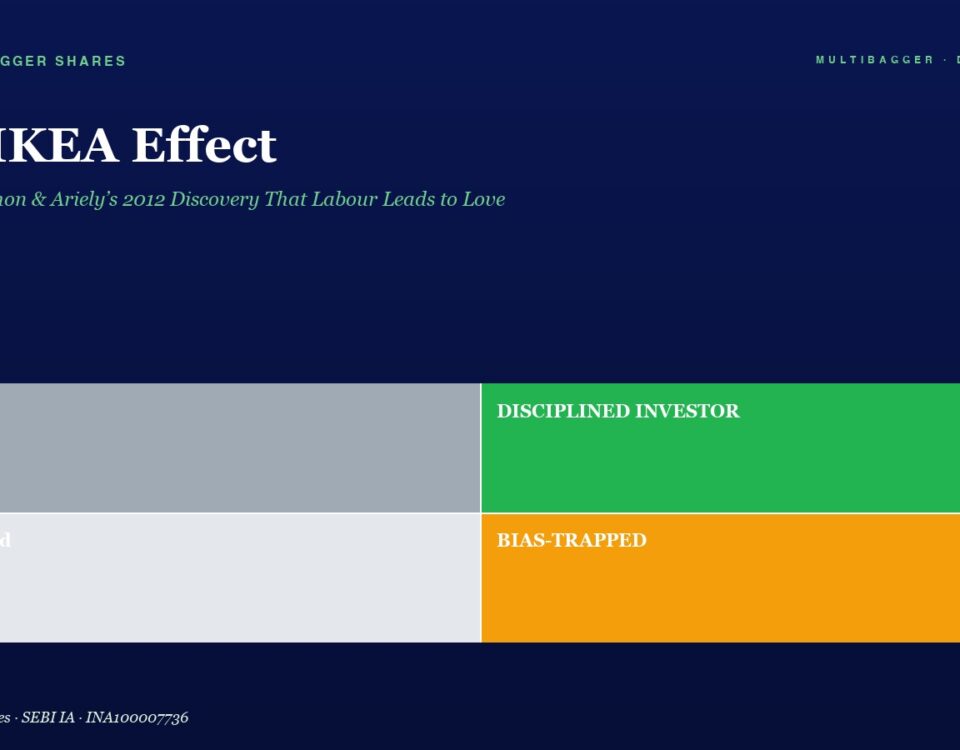 Hero page with title 'The IKEA Effect' and four colored blocks: top-left Lucky (gray), top-right DISCIPLINED INVESTOR (green), bottom-left Confused (light gray), bottom-right BIAS-TRAPPED (orange).