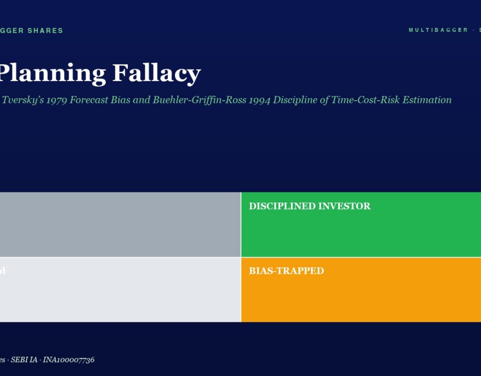 Title 'The Planning Fallacy' with a four-panel color chart labeled Lucky, Disciplined Investor, Confused, and Bias-Trapped (gray, green, light gray, orange).