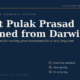 pulakcover | Manish Goel Portfolio Management Service Book Cover what Pulak Prasad Learned from Darwin with Subtitle three Simple Rules for Owning Great Businesses for a Very Long Time on a Dark Blue Background